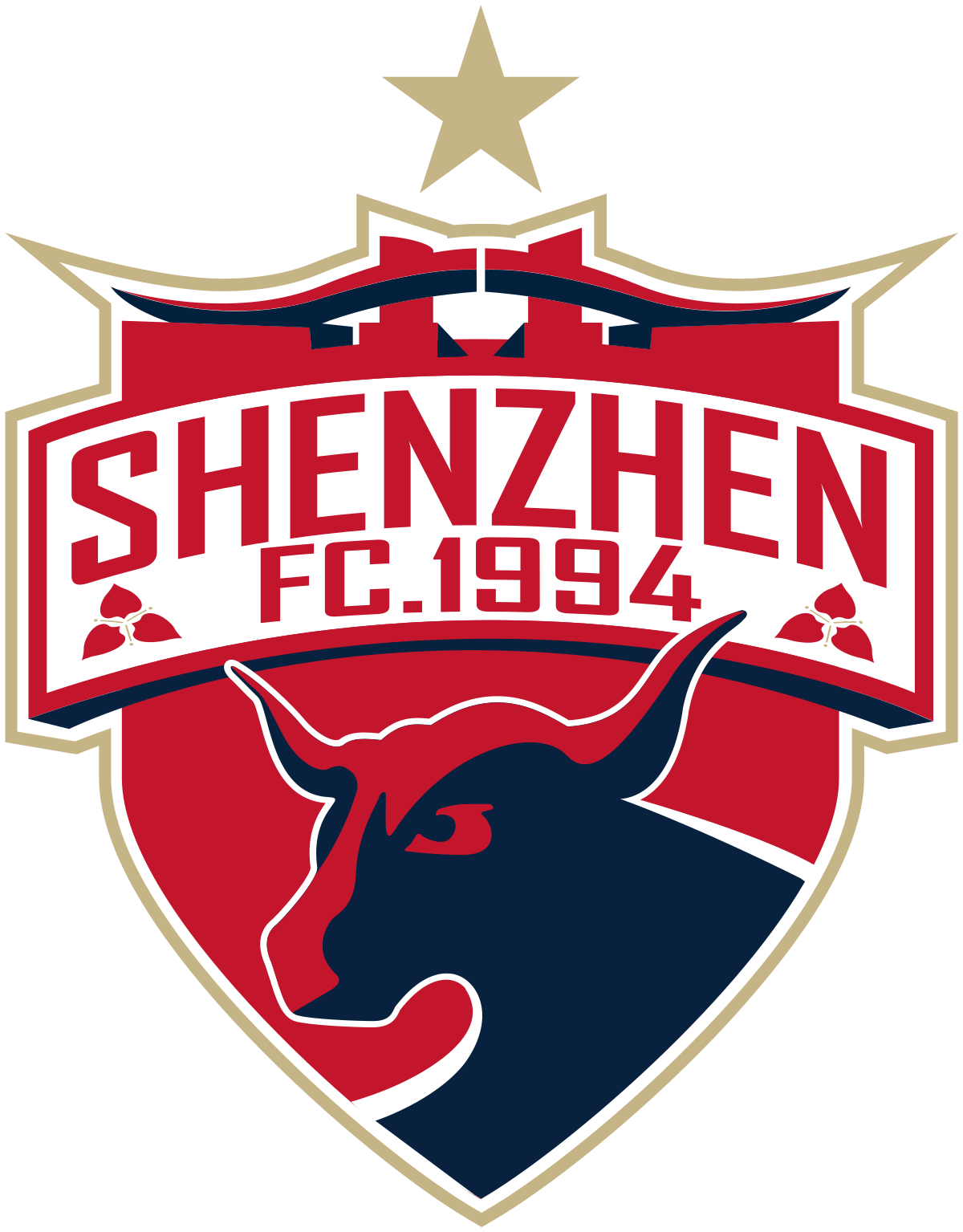 Shenzhen FC