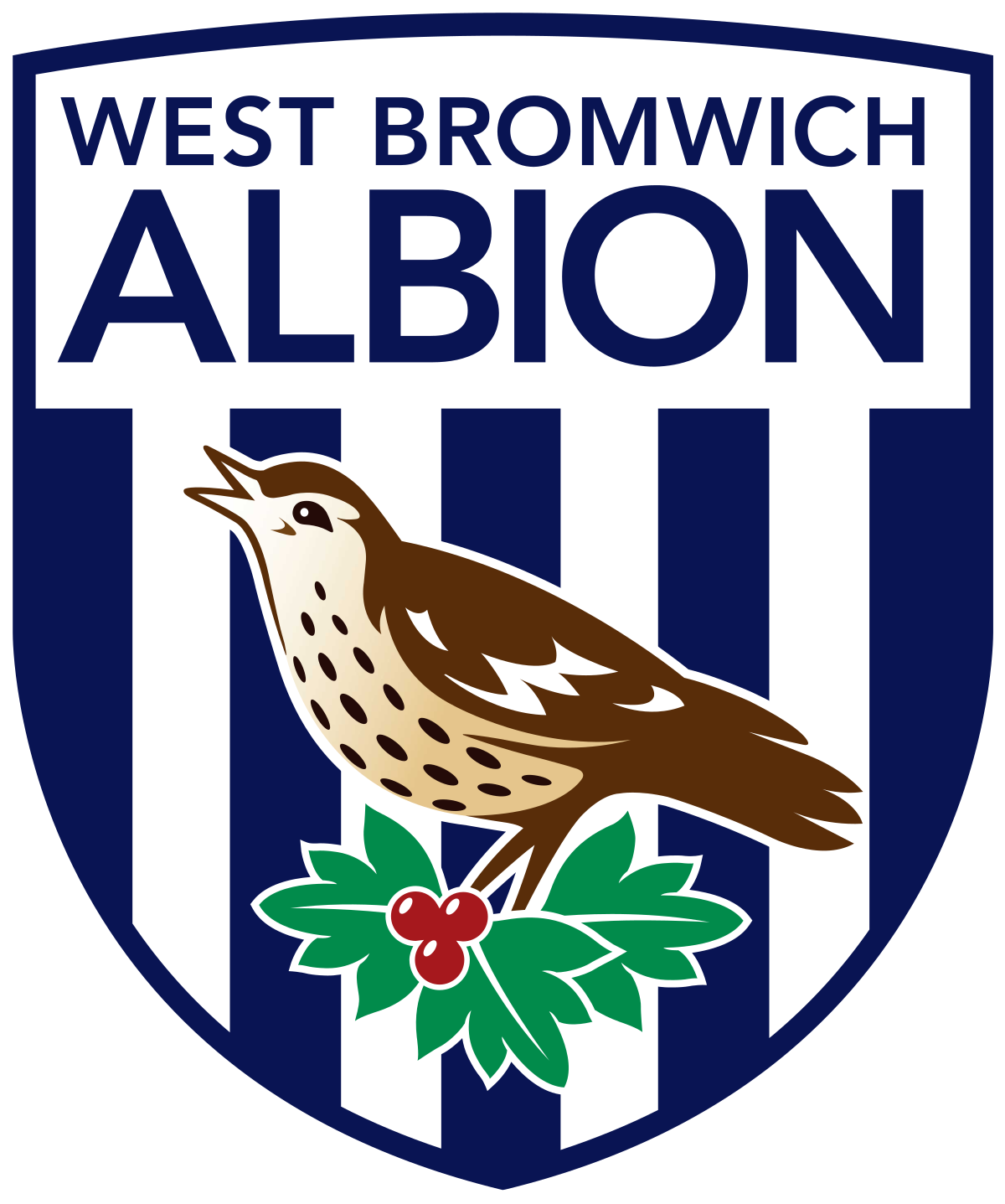 West Bromwich Albion